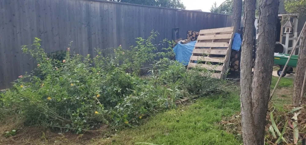 Custom residential landscaping in Lubbock, TX - Just N Time Lawn Care