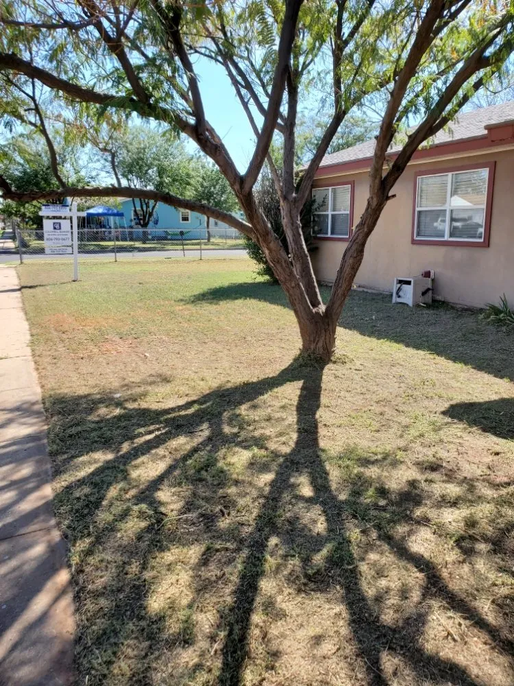 Top-rated residential landscaping in Lubbock, TX - Just N Time Lawn Care