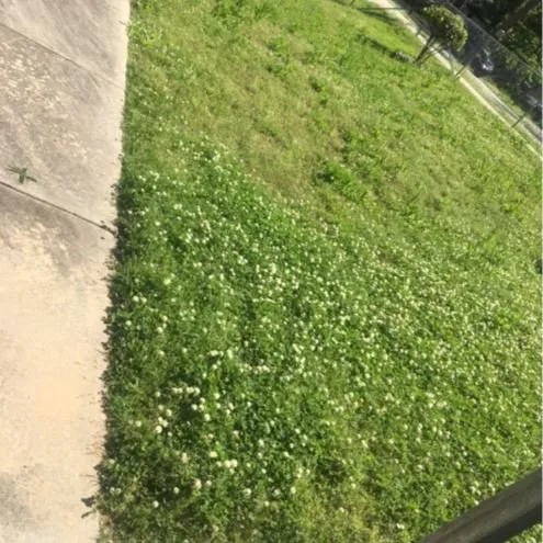 Expert yard cleanup service for year-round maintenance in Stonecrest, GA by Just N time Lawn&Car Service’s