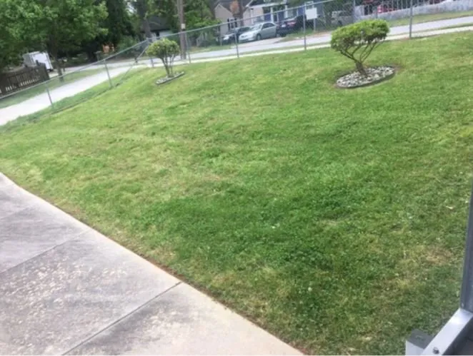 Affordable lawn mowing service experts serving Stonecrest, GA - Just N time Lawn&Car Service’s