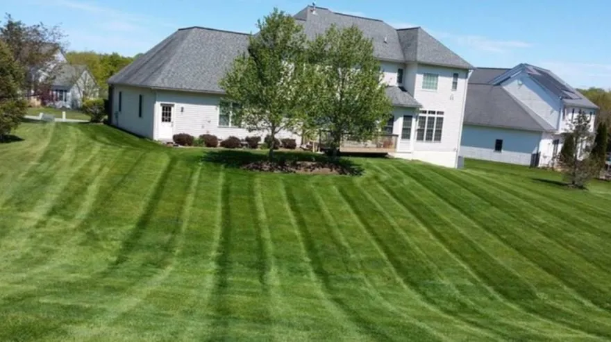 Reliable landscaping services in Stonecrest, GA - Just N time Lawn&Car Service’s