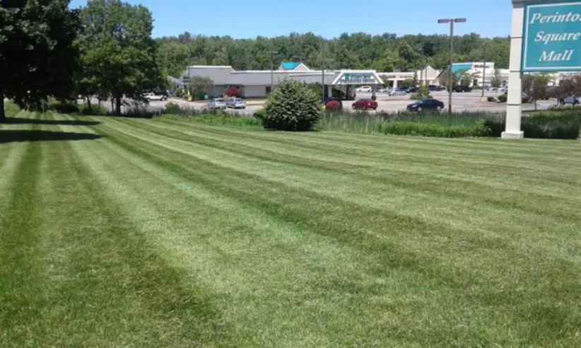 Affordable landscape installation for outdoor upgrades across Stonecrest, GA - Just N time Lawn&Car Service’s