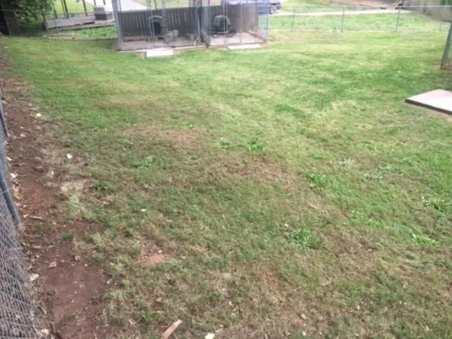 Expert residential landscaping in Stonecrest, GA by Just N time Lawn&Car Service’s