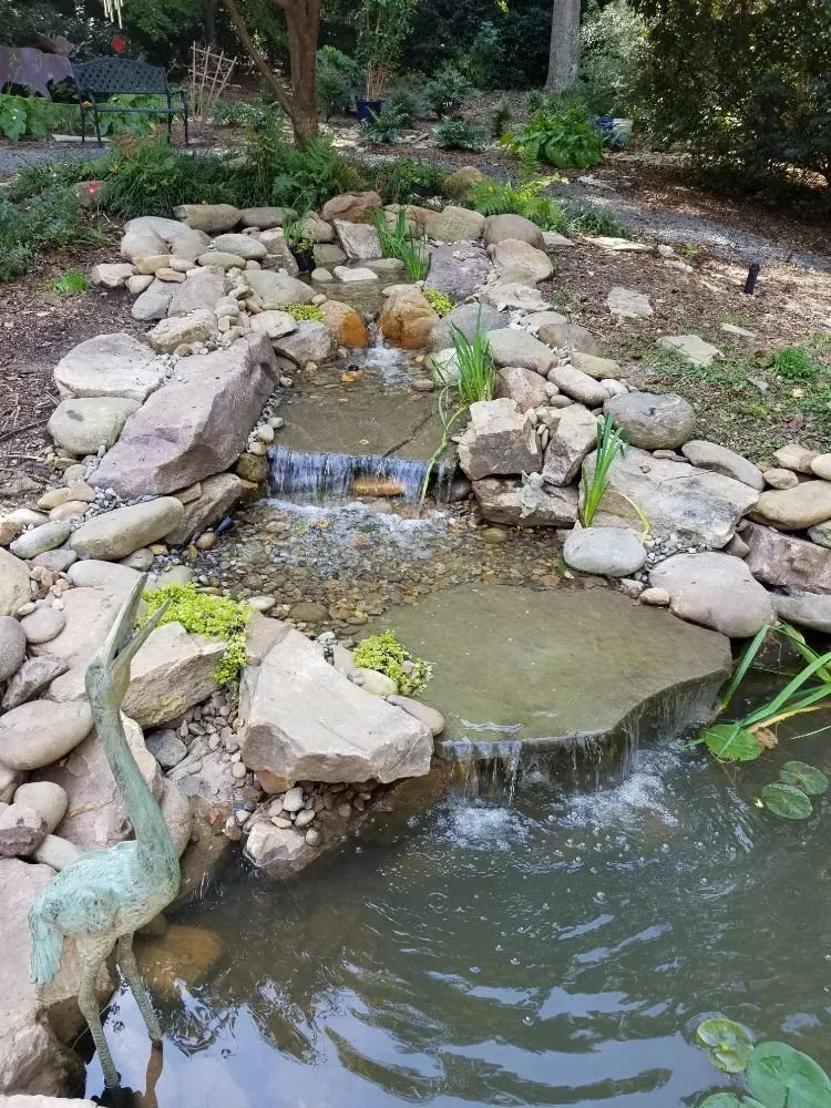 Top-rated lawn care service with custom design across Wake Forest, NC - Just Pondering