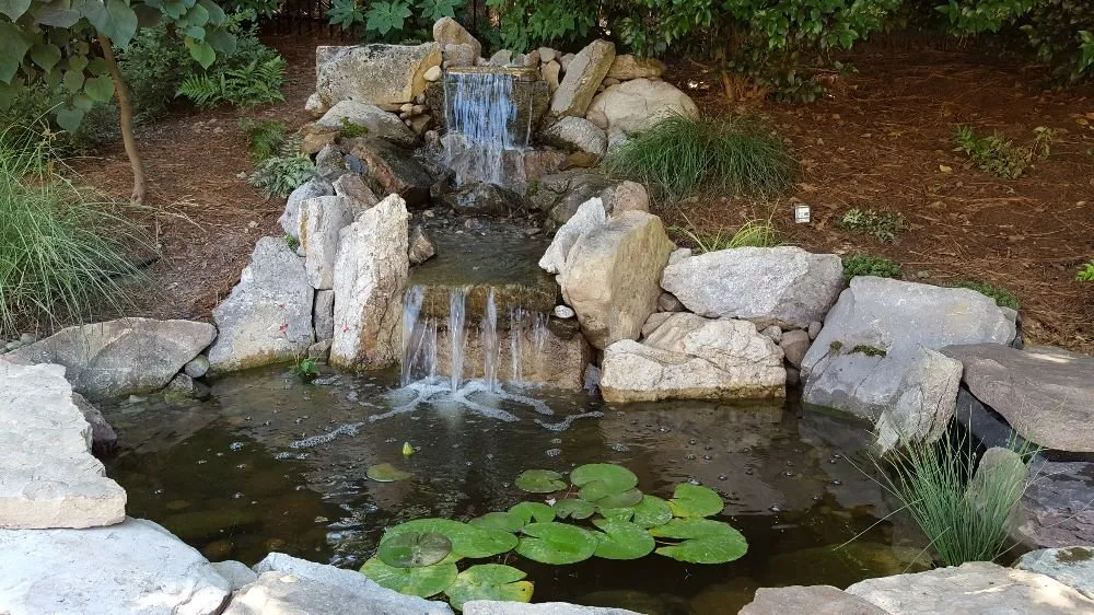 Trusted yard maintenance experts serving Wake Forest, NC - Just Pondering