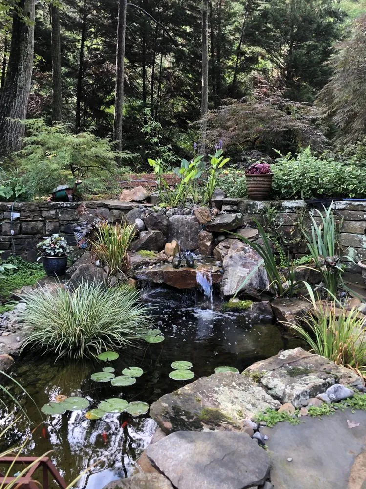 Custom yard cleanup service near you in Wake Forest, NC by Just Pondering