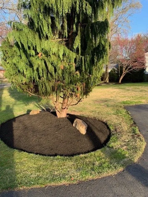 Expert landscape installation for outdoor upgrades in Berlin, NJ by Just Right Landscaping