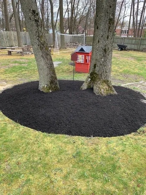 Reliable landscaping services in Berlin, NJ - Just Right Landscaping