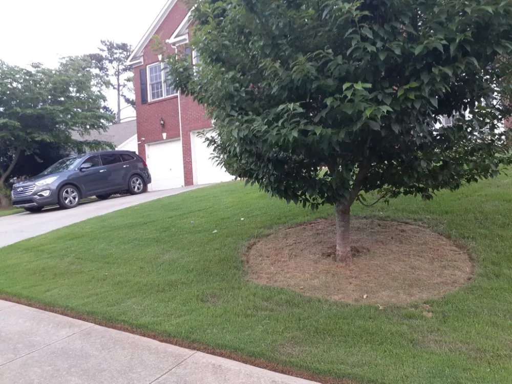 Professional yard maintenance with custom design in Buford, GA by Just Right Landscaping