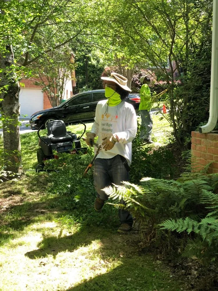 Affordable lawn care service in Buford, GA by Just Right Landscaping