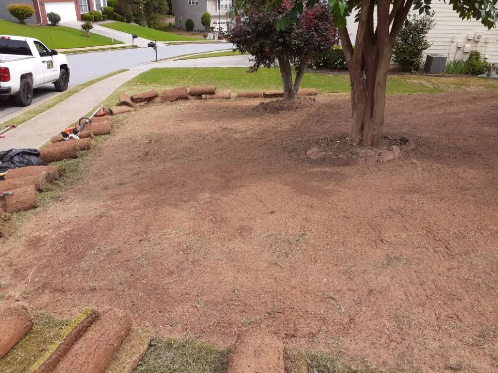 Affordable landscape design in Buford, GA - Just Right Landscaping