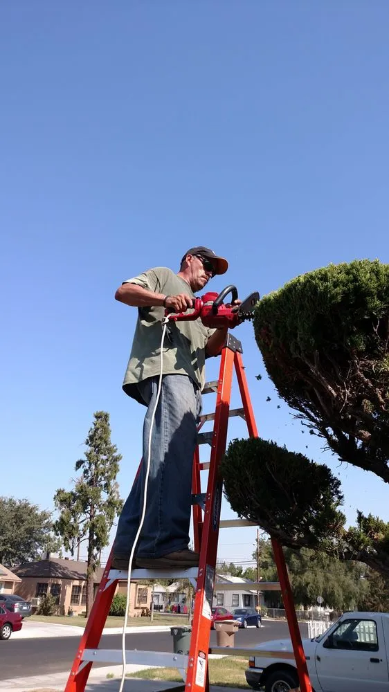 Custom landscaping services in Bakersfield, CA by Just Right Lawn Care Service