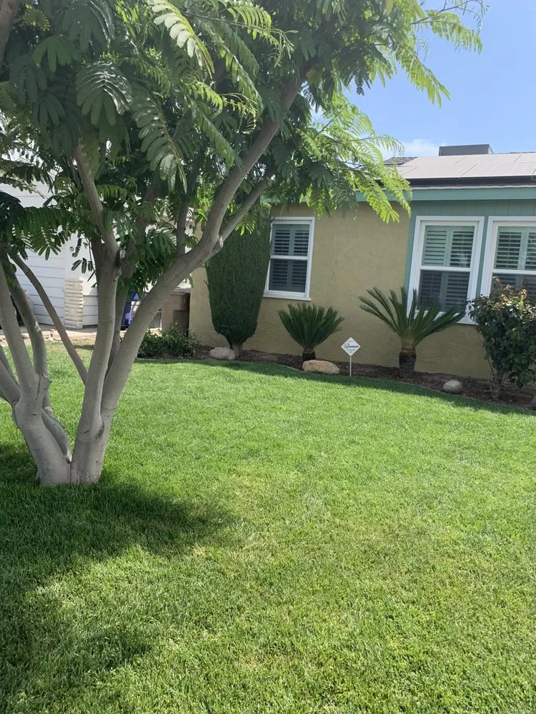 Top-rated lawn mowing service with custom design in Bakersfield, CA by Just Right Lawn Care Service