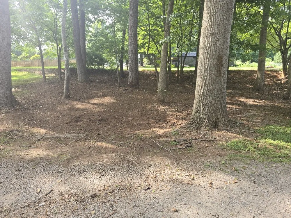 Top-rated lawn mowing service experts serving Rock Hill, SC - Just Rite Lawn Care