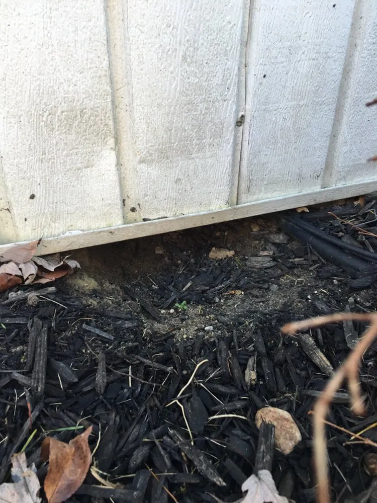 Professional yard maintenance in Shelby Township, MI by Just Rite Service Professionals