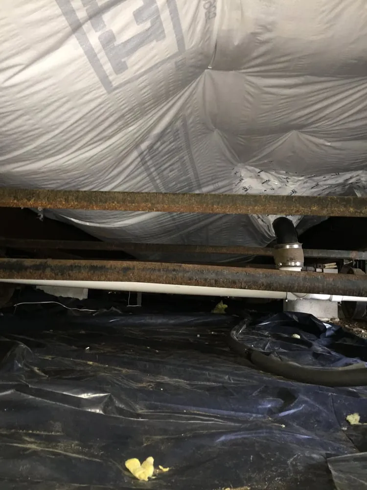 Reliable lawn care service for year-round maintenance in Shelby Township, MI by Just Rite Service Professionals