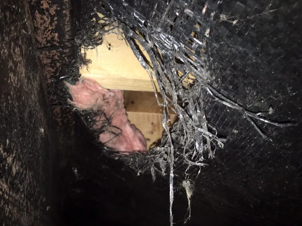 Local lawn care service experts serving Shelby Township, MI - Just Rite Service Professionals