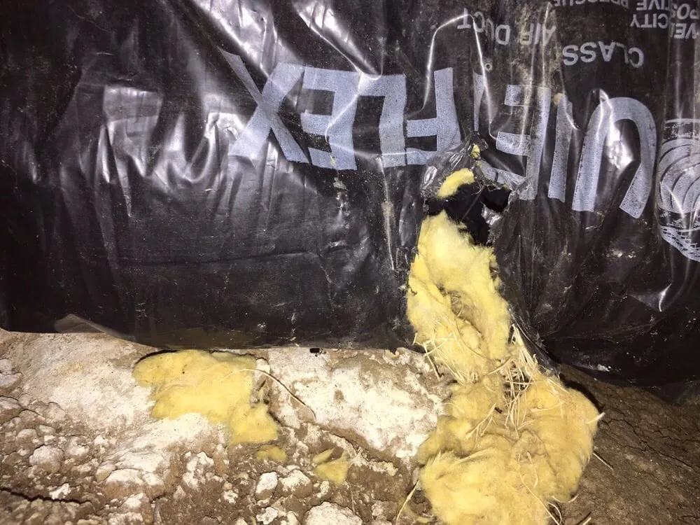 Trusted lawn care service experts serving Shelby Township, MI - Just Rite Service Professionals