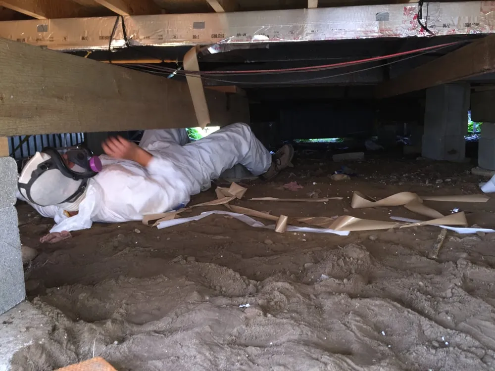 Trusted lawn care service in Shelby Township, MI by Just Rite Service Professionals