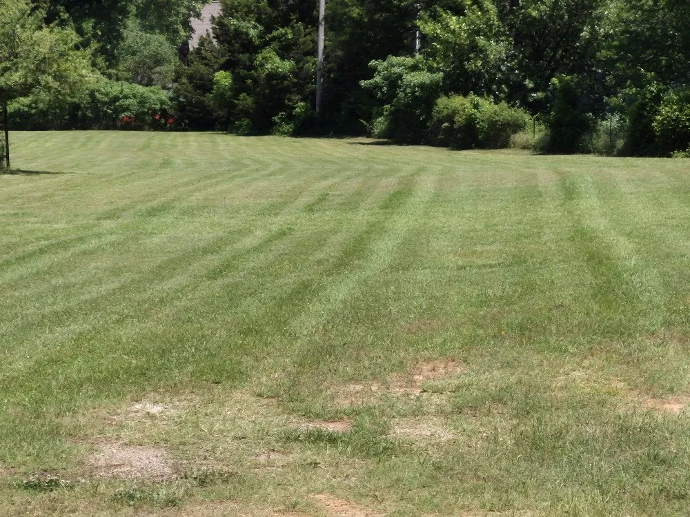 Professional residential landscaping near you across Bethel Acres, OK - Just shy of Landscaping