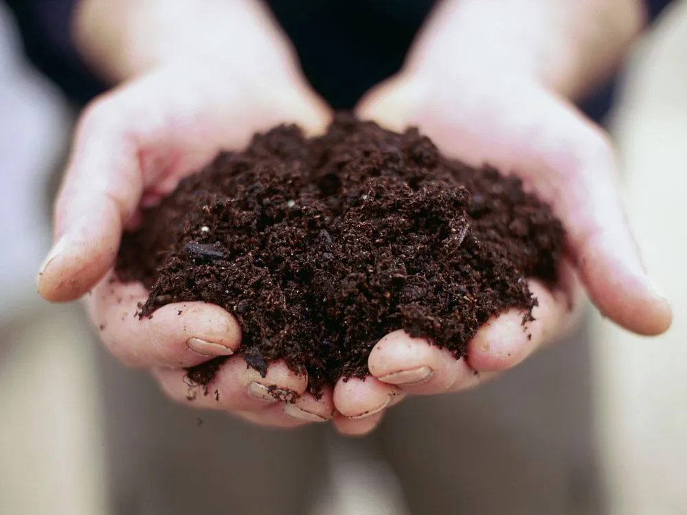 Custom outdoor landscaping experts serving Centennial, CO - Just Sod