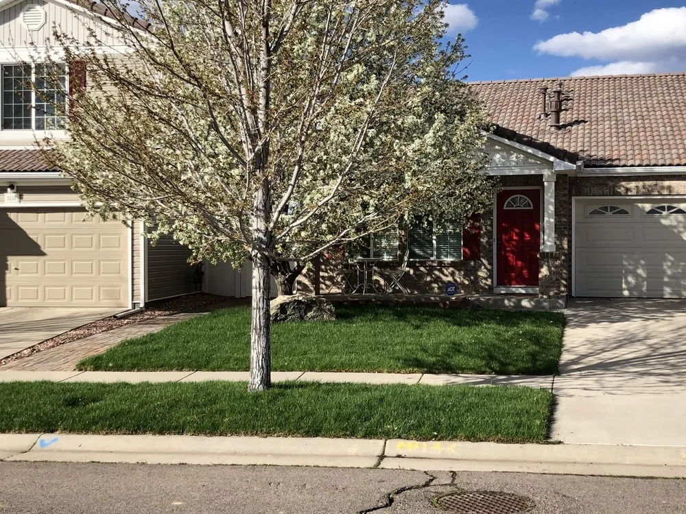 Affordable residential landscaping for outdoor upgrades across Centennial, CO - Just Sod