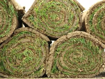 Local landscape design in Centennial, CO - Just Sod