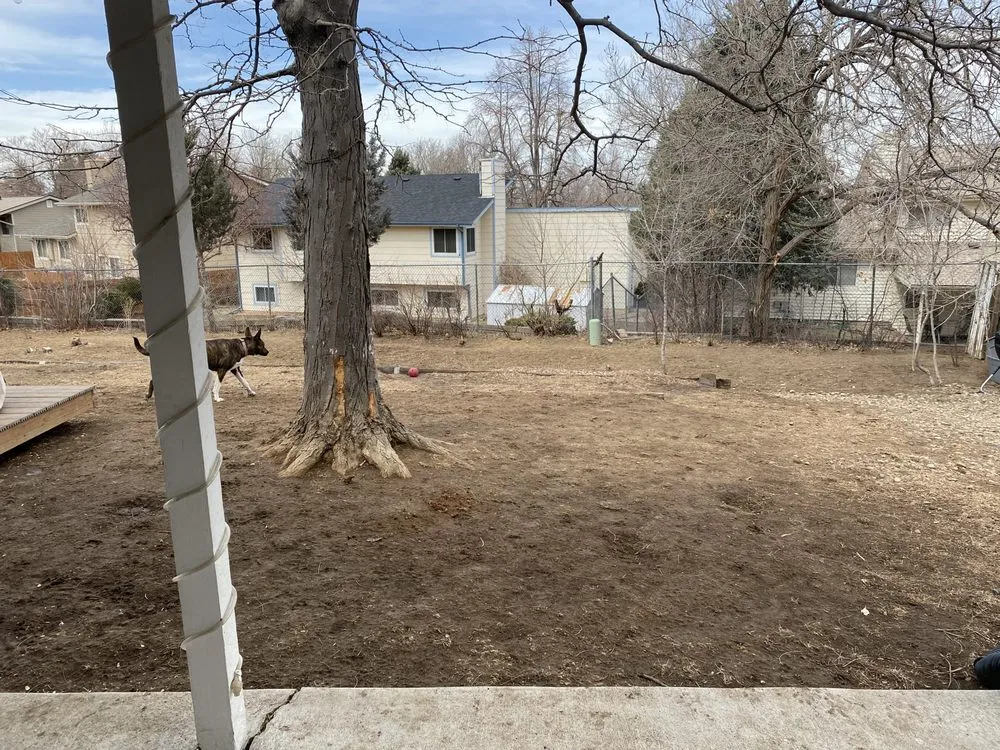 Local yard cleanup service with custom design across Centennial, CO - Just Sod