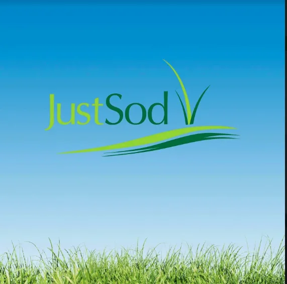 Expert yard maintenance near you in Centennial, CO by Just Sod