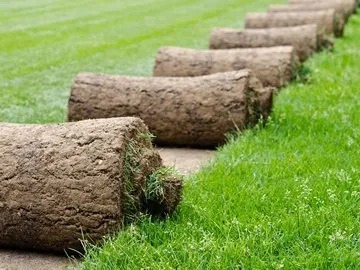 Expert lawn care service for outdoor upgrades across Centennial, CO - Just Sod