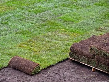 Local residential landscaping in Centennial, CO - Just Sod