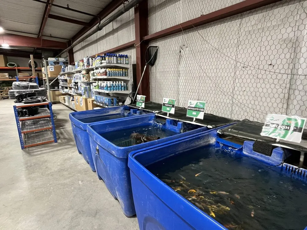 Trusted landscape design in Albuquerque, NM by Just Sprinklers - HQ