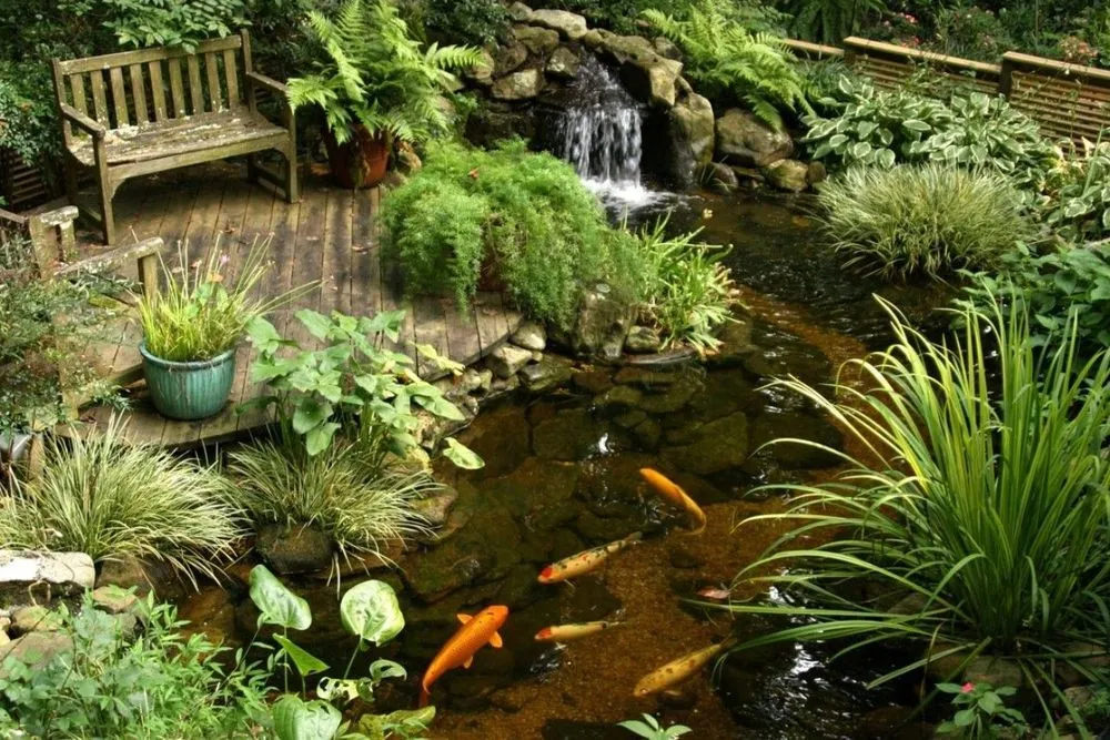 Reliable landscaping services in Albuquerque, NM - Just Sprinklers - HQ