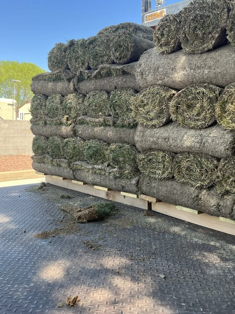 Professional yard cleanup service for beautiful yards in Albuquerque, NM by Just Sprinklers - HQ