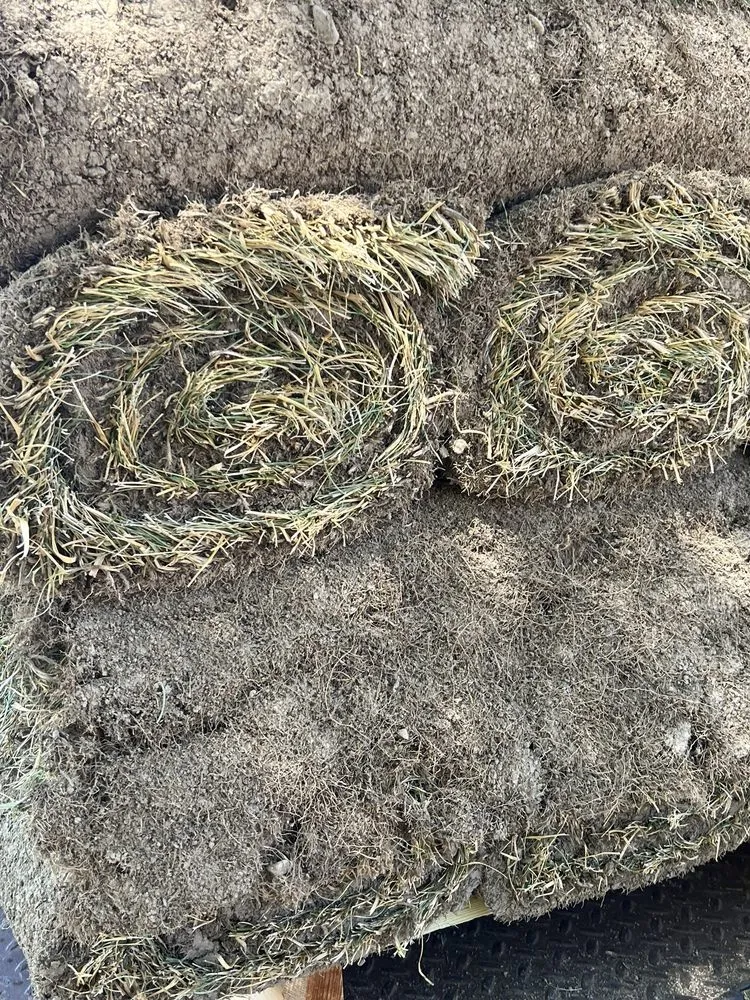 Top-rated landscape design experts serving Albuquerque, NM - Just Sprinklers - HQ