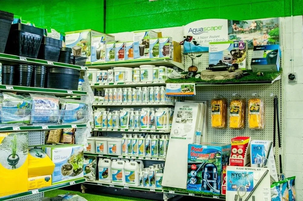 Expert lawn care service in Albuquerque, NM by Just Sprinklers