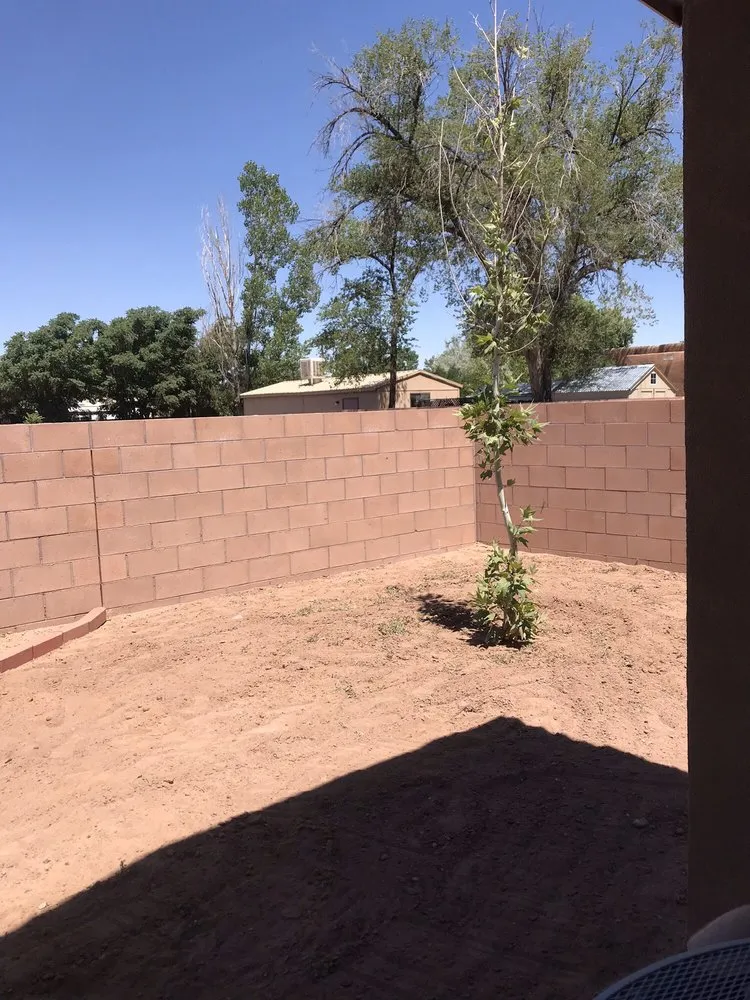 Custom yard maintenance in Albuquerque, NM by Just Sprinklers