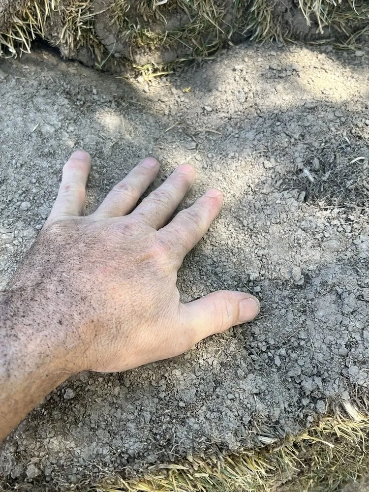 Reliable landscaping services for residential properties across Albuquerque, NM - Just Sprinklers