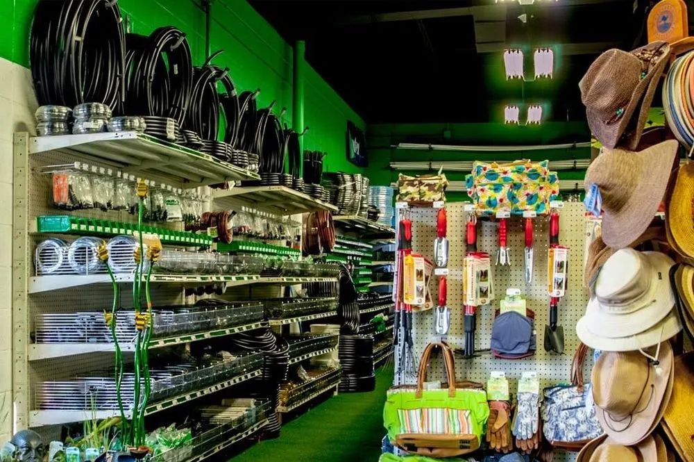 Trusted landscaping services for residential properties in Rio Rancho, NM by Just Sprinklers