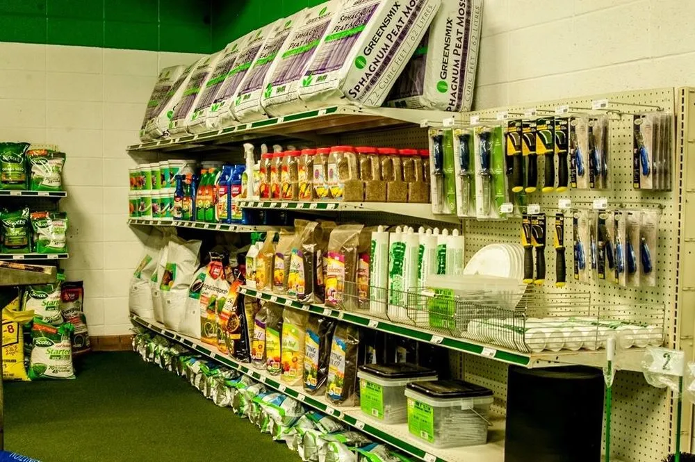 Reliable residential landscaping for year-round maintenance across Rio Rancho, NM - Just Sprinklers