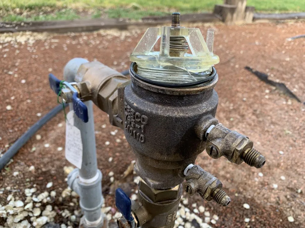 Expert yard maintenance in Rio Rancho, NM by Just Sprinklers