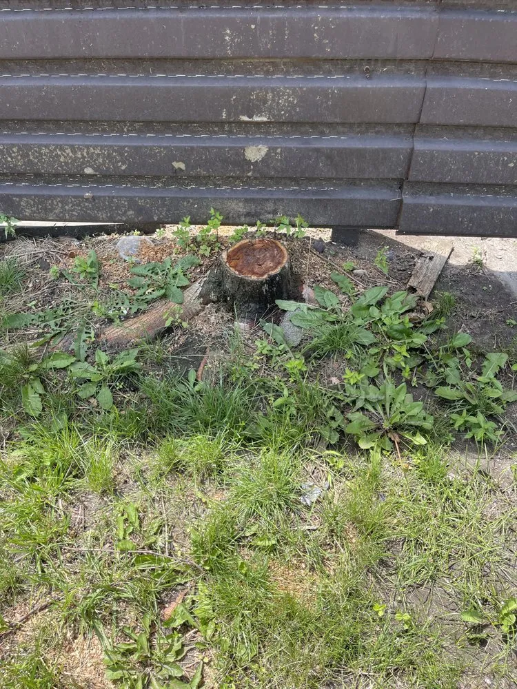 Affordable yard maintenance for outdoor upgrades in Fountaintown, IN by Just Stump Grinding