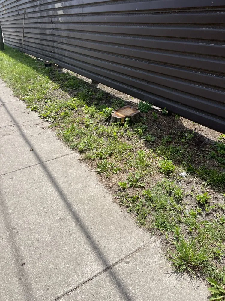 Affordable outdoor landscaping experts serving Fountaintown, IN - Just Stump Grinding