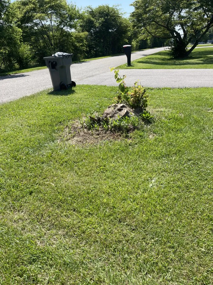 Affordable landscape installation for homes in Fountaintown, IN by Just Stump Grinding