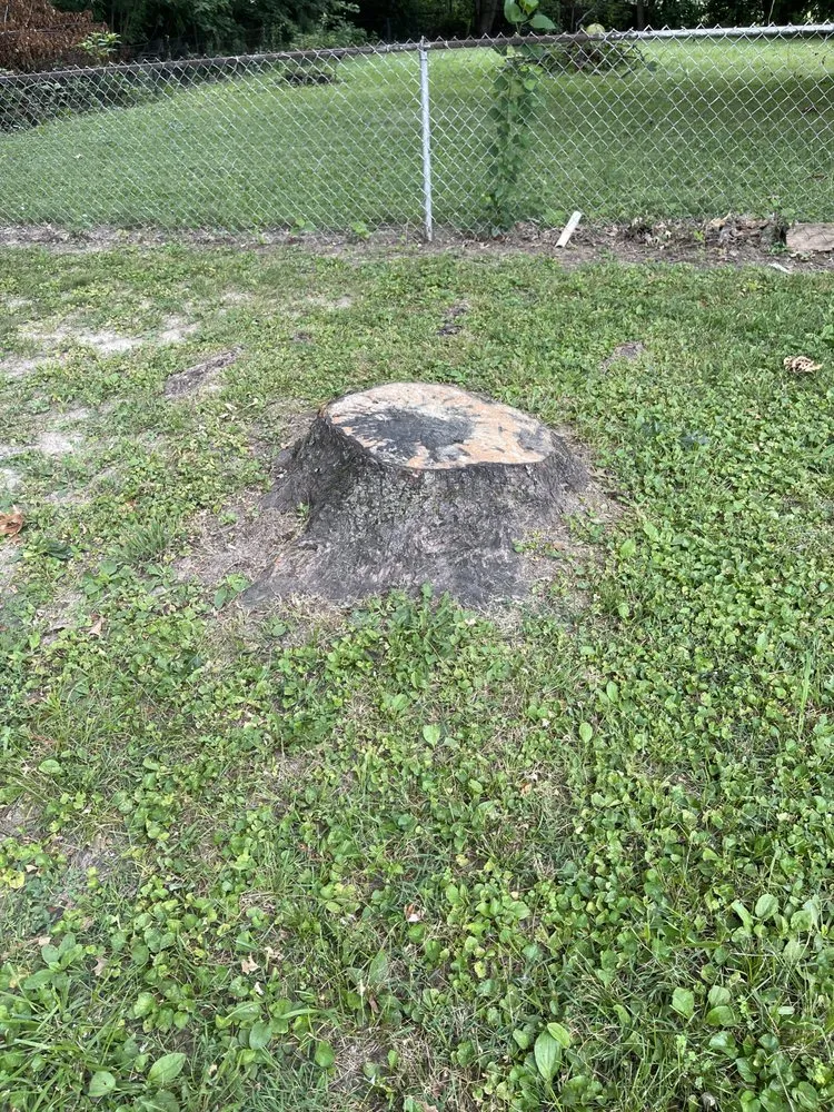Affordable landscape design experts serving Fountaintown, IN - Just Stump Grinding