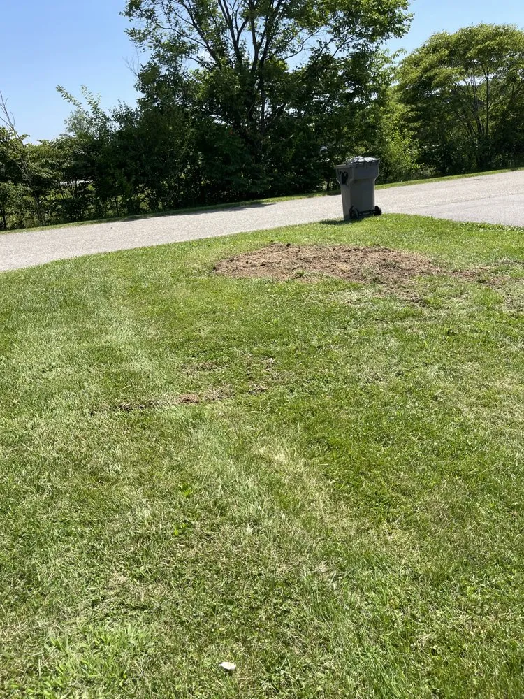 Affordable lawn mowing service for homes across Fountaintown, IN - Just Stump Grinding