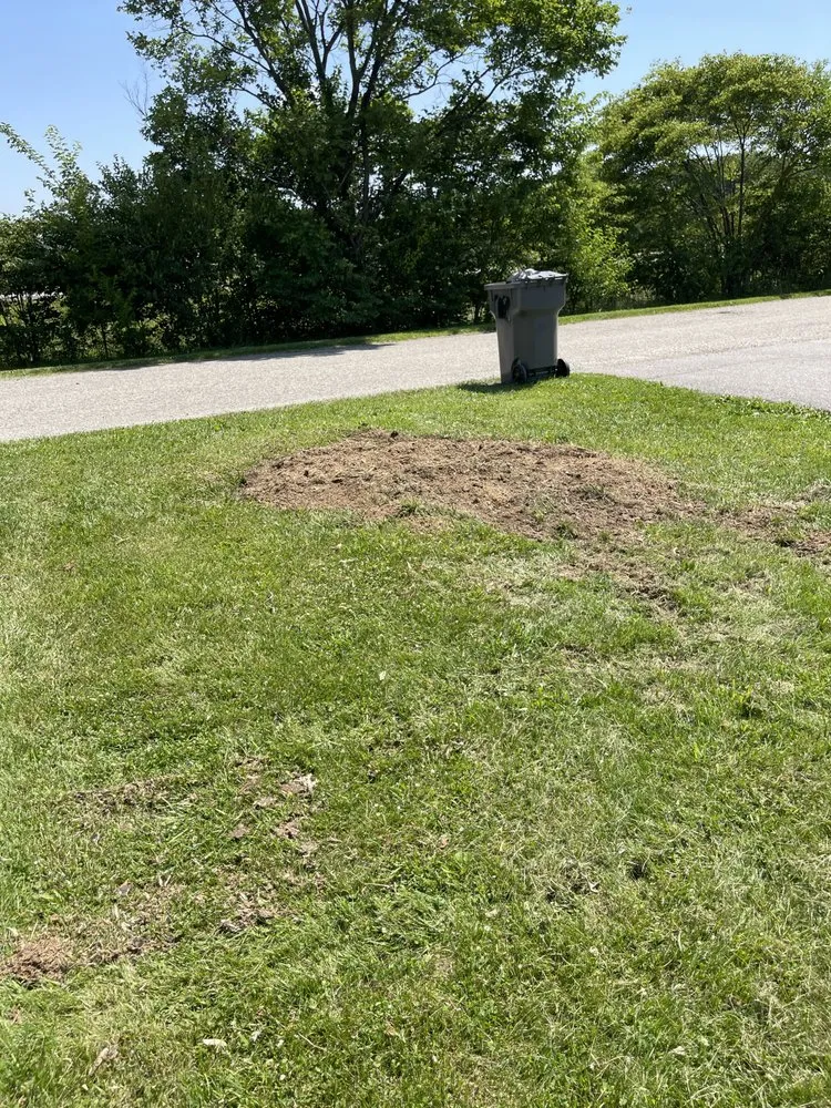 Custom lawn care service for homes across Fountaintown, IN - Just Stump Grinding
