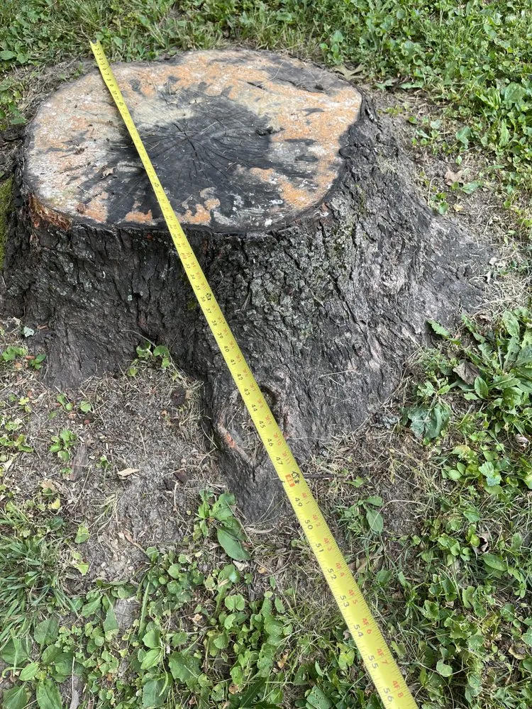 Professional landscaping services for year-round maintenance in Fountaintown, IN by Just Stump Grinding