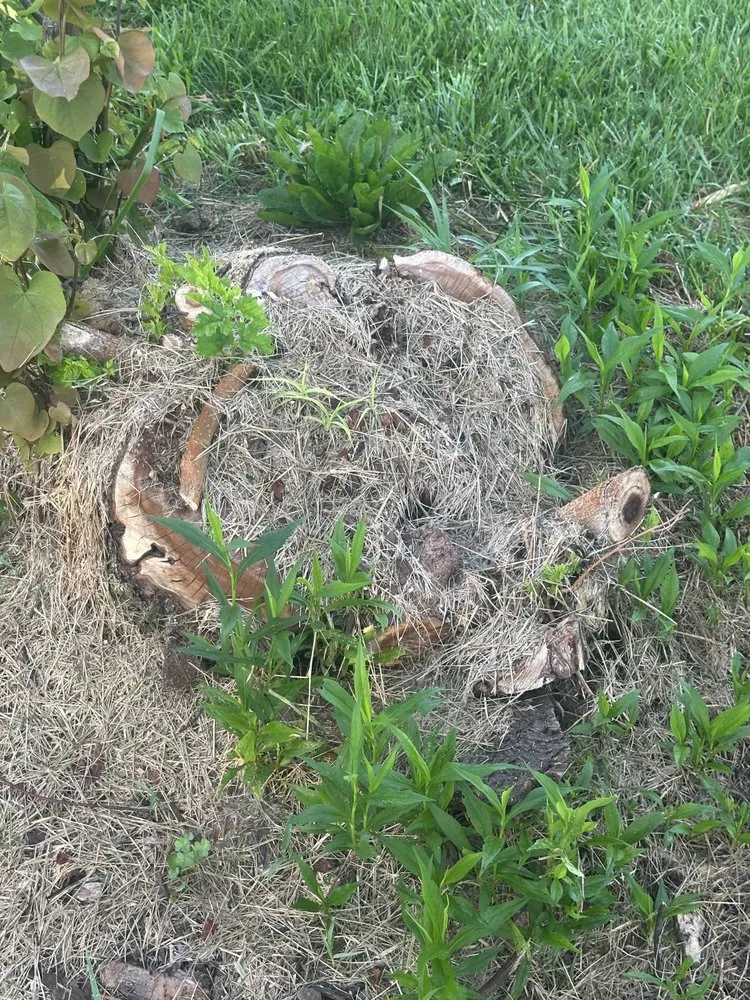 Expert landscape installation in Fountaintown, IN - Just Stump Grinding
