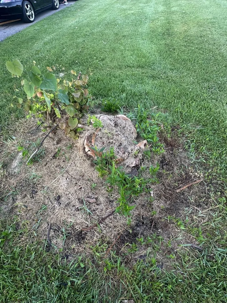 Affordable landscape design in Fountaintown, IN by Just Stump Grinding